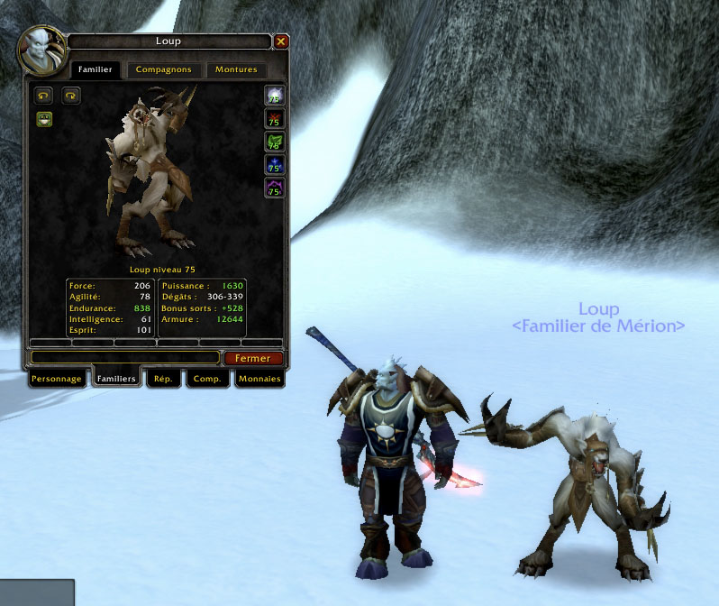 Screenshot de World of Warcraft réalisé par Mazdak.