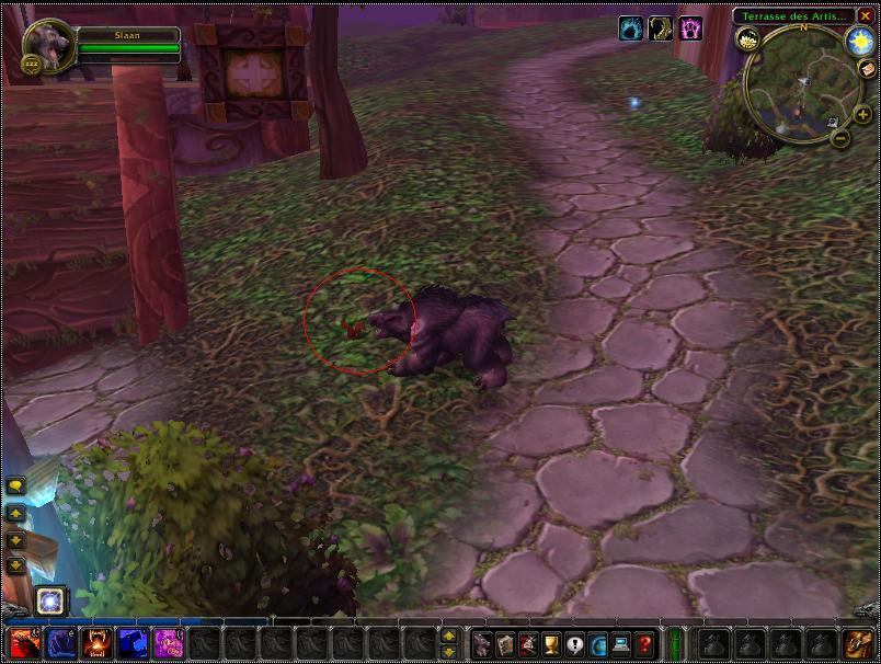 Screenshot de la beta européenne de World of Warcraft.