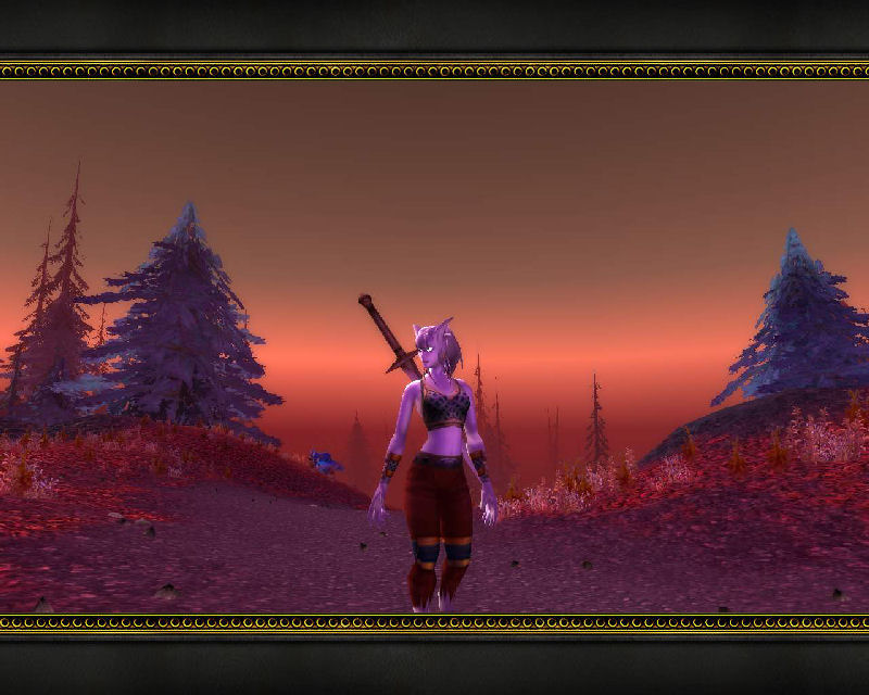 Screenshot de la beta de World of Warcraft: The Burning Crusade (octobre 2006).