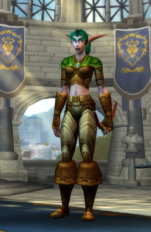Le Chasseur Elfe de la Nuit dans World of Warcraft.