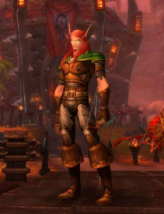 Le Chasseur Elfe de Sang dans World of Warcraft.