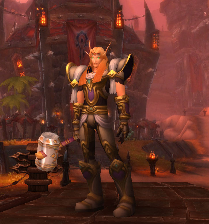 Le Paladin Elfe de Sang dans World of Warcraft.
