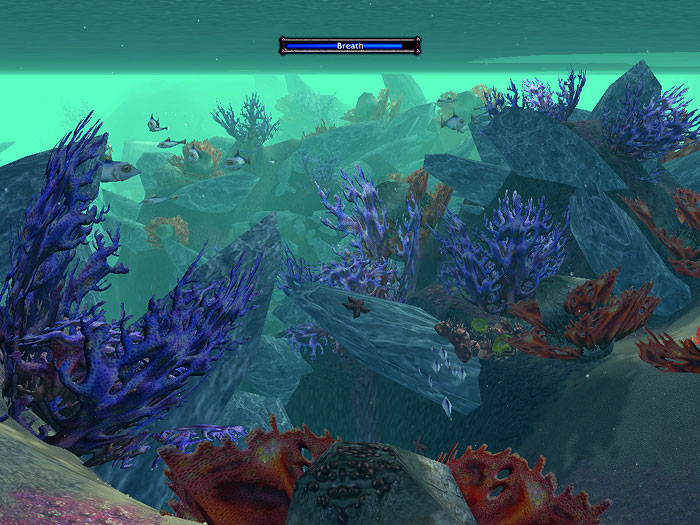 Screenshot de World of Warcraft (février 2004)