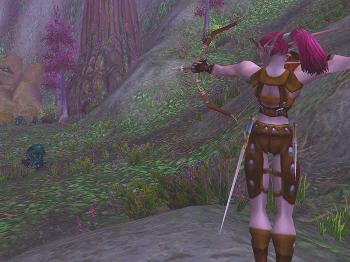 Screenshot de World of Warcraft (mai 2003)
