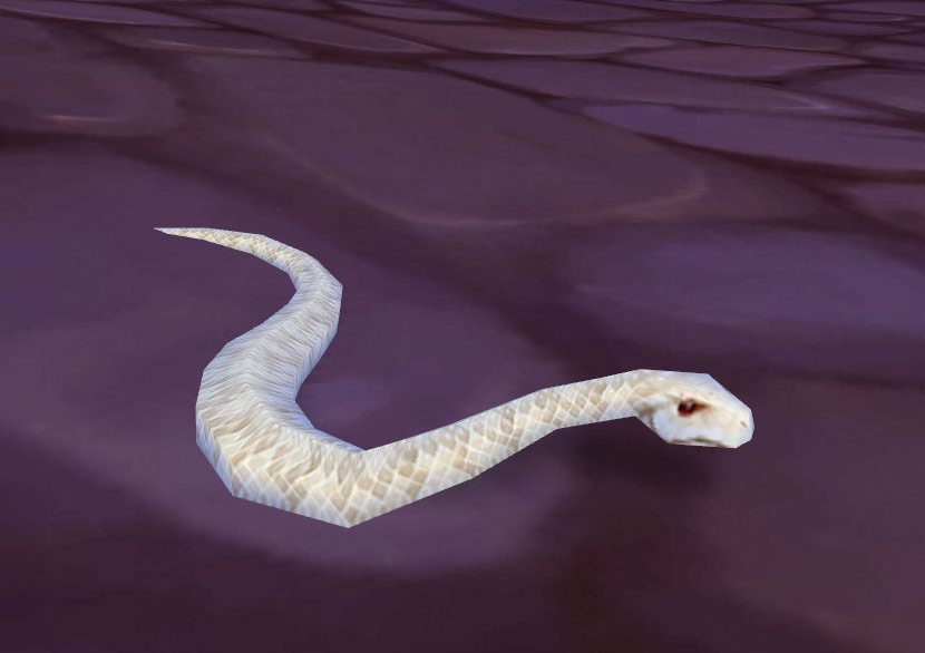 Nouvel animal de compagnie chez Braenni à Dalaran : Serpent albinos.